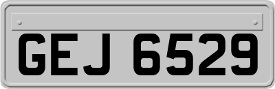 GEJ6529
