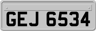 GEJ6534