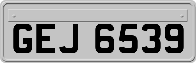 GEJ6539