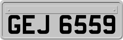 GEJ6559