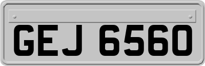 GEJ6560