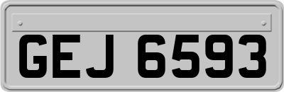 GEJ6593