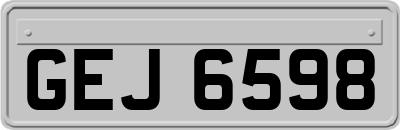 GEJ6598