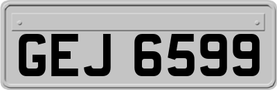 GEJ6599