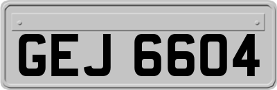 GEJ6604