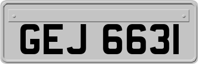 GEJ6631