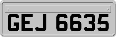 GEJ6635