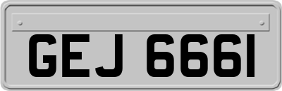 GEJ6661