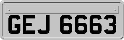GEJ6663