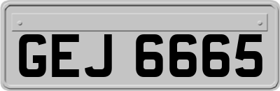 GEJ6665
