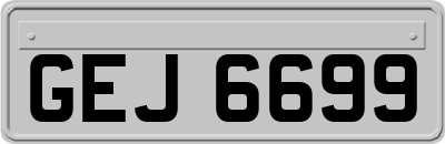GEJ6699