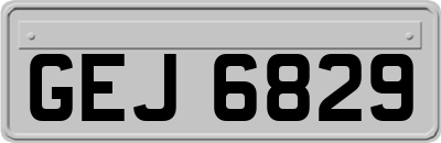 GEJ6829