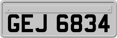 GEJ6834