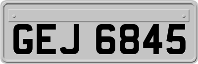 GEJ6845