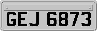GEJ6873