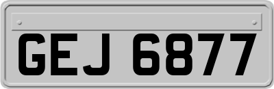 GEJ6877