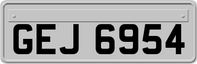 GEJ6954