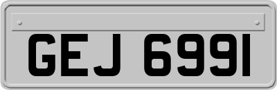 GEJ6991