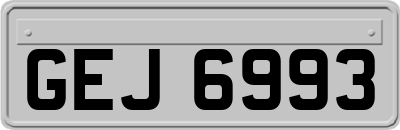 GEJ6993