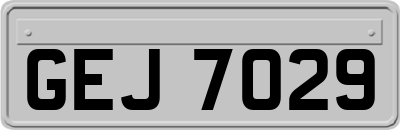 GEJ7029