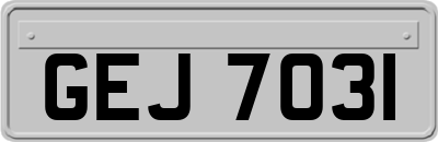 GEJ7031