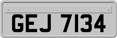 GEJ7134
