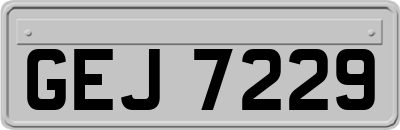 GEJ7229