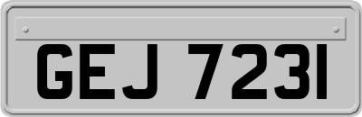 GEJ7231