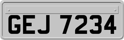 GEJ7234