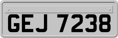 GEJ7238