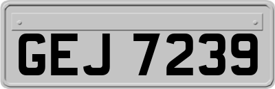 GEJ7239