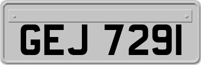 GEJ7291