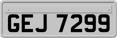 GEJ7299