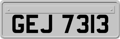 GEJ7313