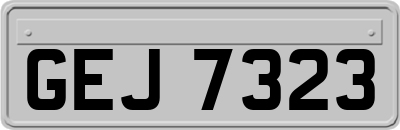 GEJ7323