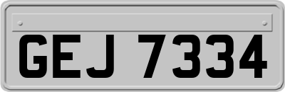 GEJ7334