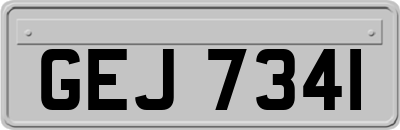 GEJ7341