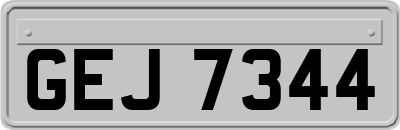 GEJ7344