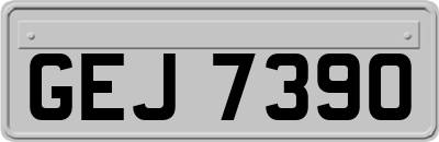 GEJ7390