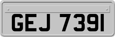 GEJ7391