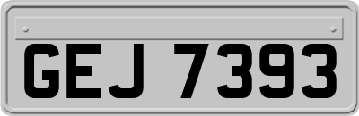 GEJ7393