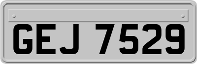 GEJ7529