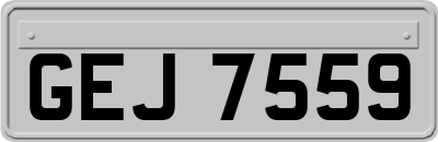 GEJ7559