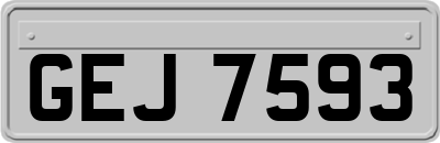GEJ7593