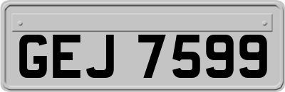 GEJ7599