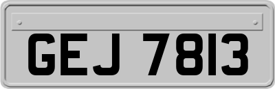 GEJ7813