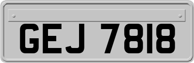 GEJ7818