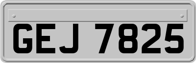 GEJ7825