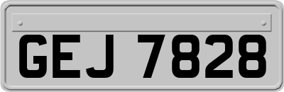 GEJ7828