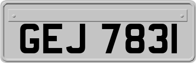 GEJ7831